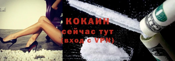 твердый Бронницы